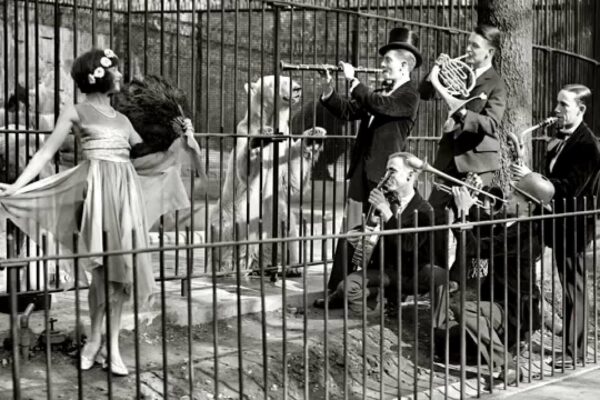 Everyday Life in the 20th Century: Ordinary Lives in an Age of Upheaval