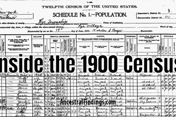 The 1900 Census: What Primary Sources Reveal About American Households