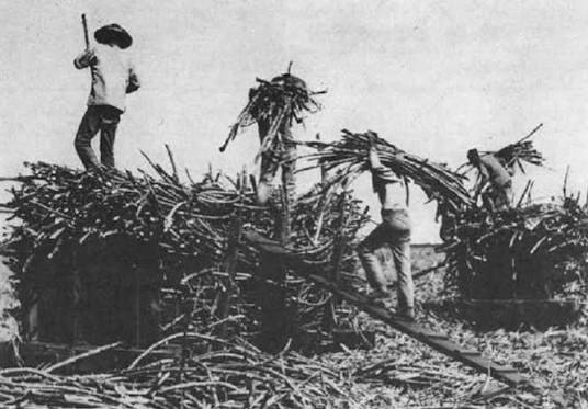 The 1958–1959 Hawaiian Sugar Strike: Labor Unrest and the ILWU